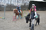 Badyhoeve is een terrein dat tot 3kinderen en hun pony's met de hond Djackson behoort.
