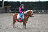 Badyhoeve is een terrein dat tot 3kinderen en hun pony's met de hond Djackson behoort.