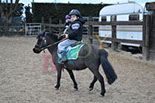 Badyhoeve is een terrein dat tot 3kinderen en hun pony's met de hond Djackson behoort.