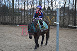Badyhoeve is een terrein dat tot 3kinderen en hun pony's met de hond Djackson behoort.