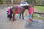 Badyhoeve is een terrein dat tot 3kinderen en hun pony's met de hond Djackson behoort.