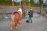 Badyhoeve is een terrein dat tot 3kinderen en hun pony's met de hond Djackson behoort.