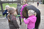 Badyhoeve is een terrein dat tot 3kinderen en hun pony's met de hond Djackson behoort.