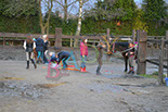 Badyhoeve is een terrein dat tot 3kinderen en hun pony's met de hond Djackson behoort.
