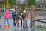 Badyhoeve is een terrein dat tot 3kinderen en hun pony's met de hond Djackson behoort.