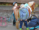 Badyhoeve is een terrein dat tot 3kinderen en hun pony's met de hond Djackson behoort.