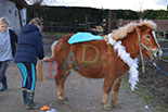 Badyhoeve is een terrein dat tot 3kinderen en hun pony's met de hond Djackson behoort.