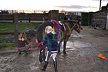 Badyhoeve is een terrein dat tot 3kinderen en hun pony's met de hond Djackson behoort.