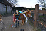 Badyhoeve is een terrein dat tot 3kinderen en hun pony's met de hond Djackson behoort.