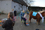 Badyhoeve is een terrein dat tot 3kinderen en hun pony's met de hond Djackson behoort.