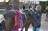 Badyhoeve is een terrein dat tot 3kinderen en hun pony's met de hond Djackson behoort.
