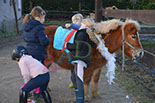 Badyhoeve is een terrein dat tot 3kinderen en hun pony's met de hond Djackson behoort.